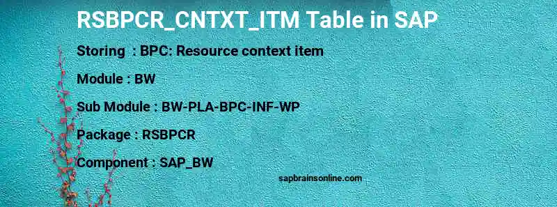 SAP RSBPCR_CNTXT_ITM table