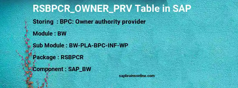 SAP RSBPCR_OWNER_PRV table