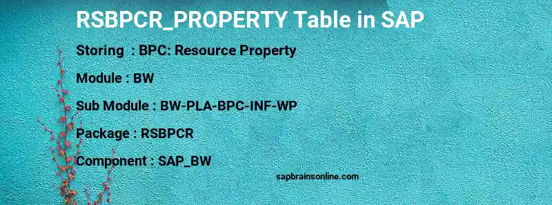 SAP RSBPCR_PROPERTY table
