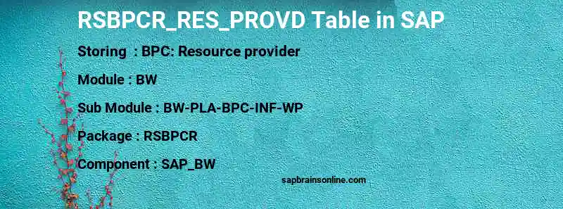SAP RSBPCR_RES_PROVD table