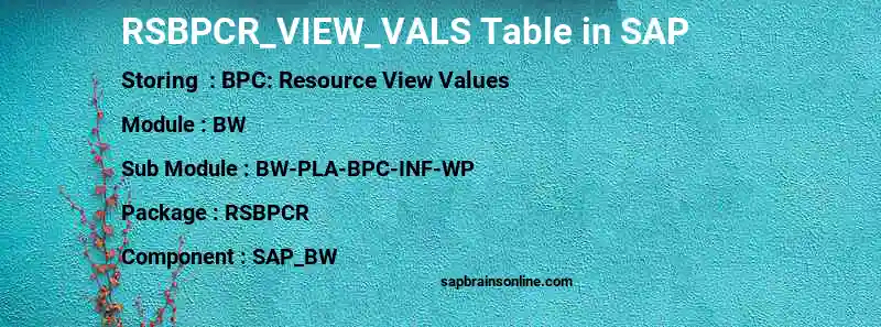 SAP RSBPCR_VIEW_VALS table