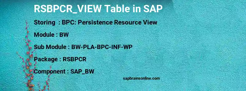 SAP RSBPCR_VIEW table