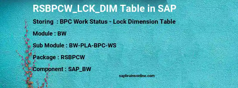 SAP RSBPCW_LCK_DIM table