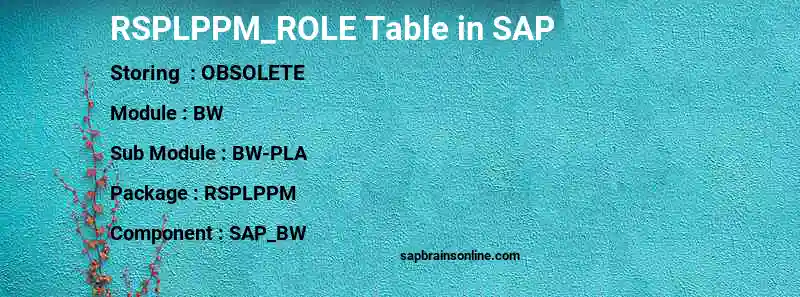 SAP RSPLPPM_ROLE table