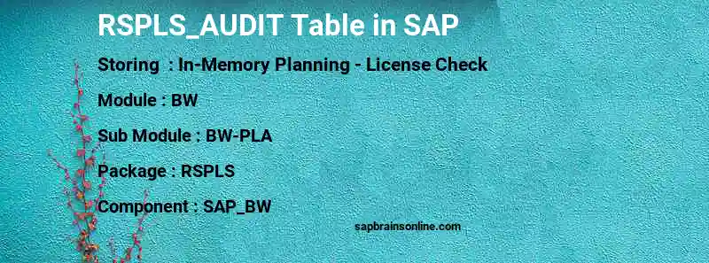 SAP RSPLS_AUDIT table