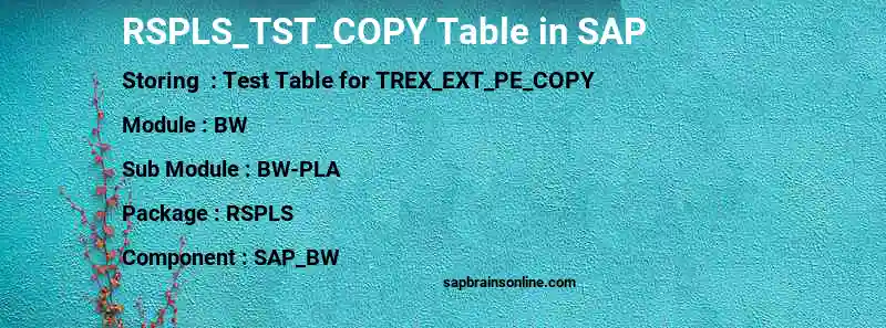 SAP RSPLS_TST_COPY table
