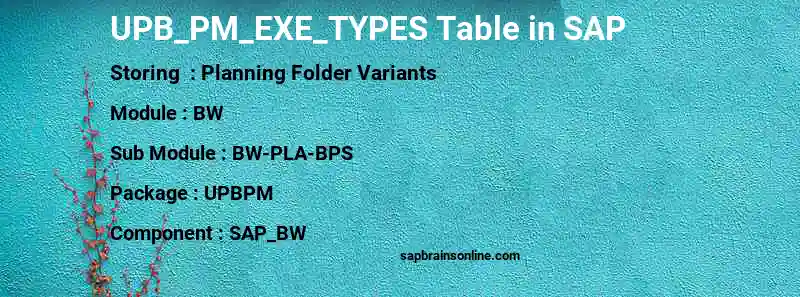 SAP UPB_PM_EXE_TYPES table