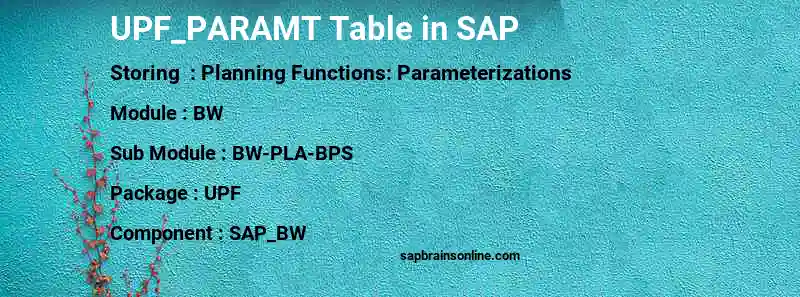SAP UPF_PARAMT table