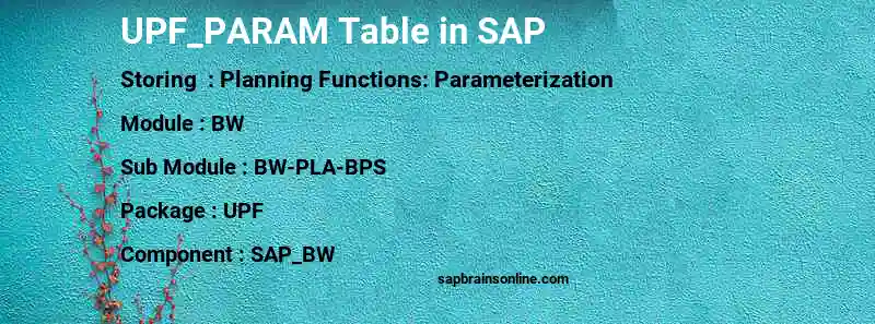 SAP UPF_PARAM table
