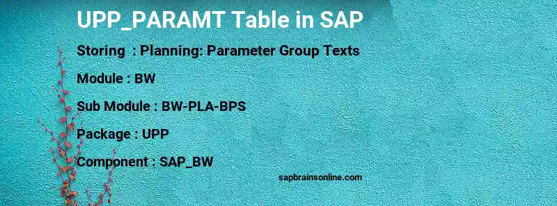 SAP UPP_PARAMT table
