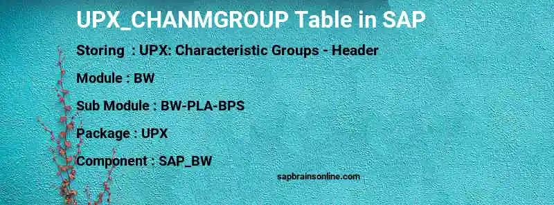 SAP UPX_CHANMGROUP table