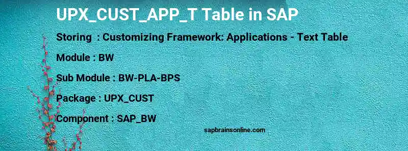 SAP UPX_CUST_APP_T table