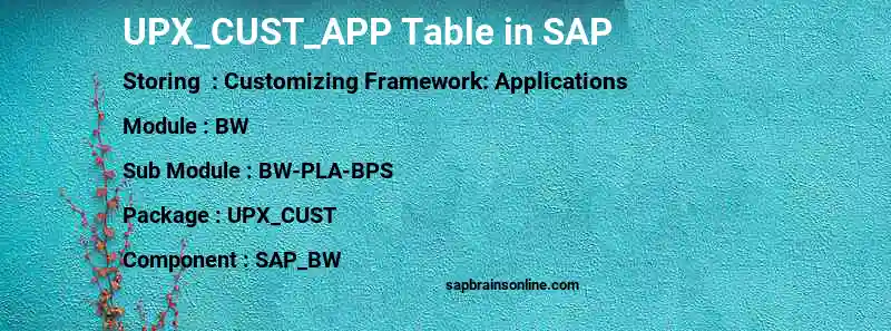 SAP UPX_CUST_APP table