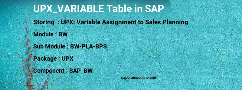 SAP UPX_VARIABLE table