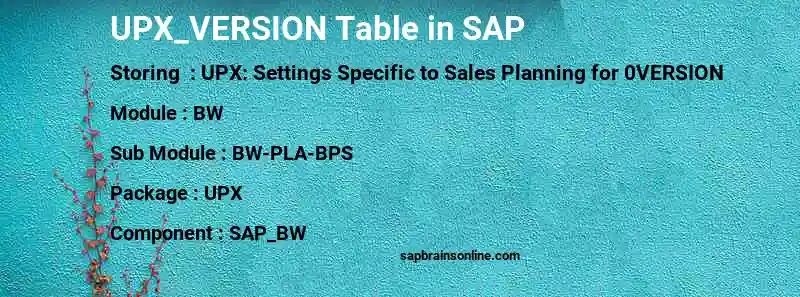 SAP UPX_VERSION table