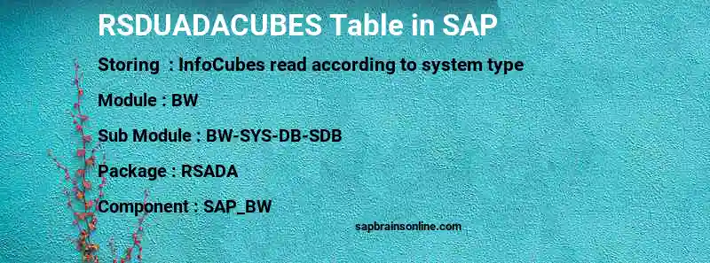 SAP RSDUADACUBES table