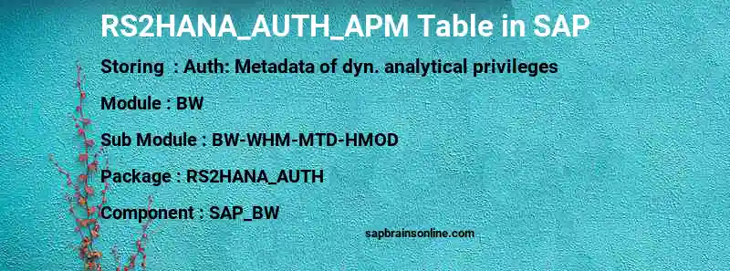 SAP RS2HANA_AUTH_APM table