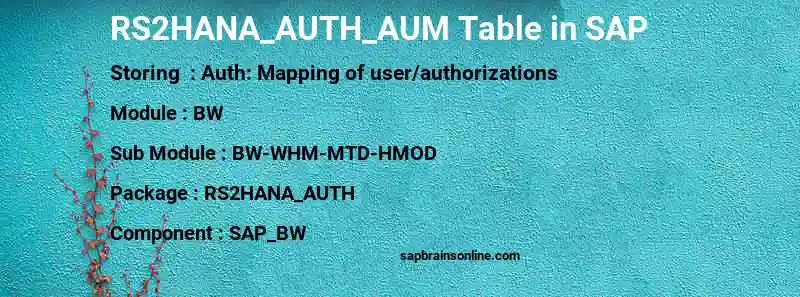 SAP RS2HANA_AUTH_AUM table