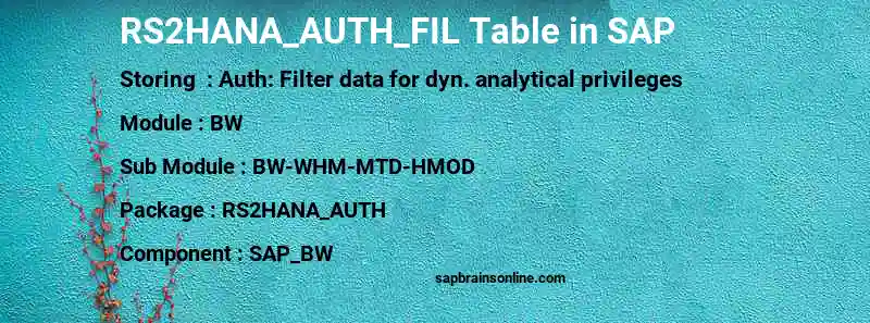 SAP RS2HANA_AUTH_FIL table