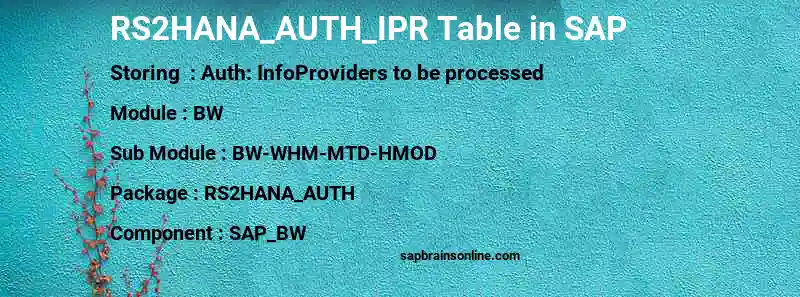 SAP RS2HANA_AUTH_IPR table