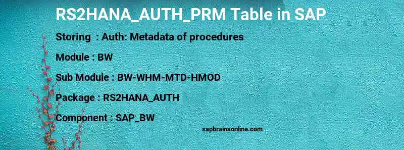 SAP RS2HANA_AUTH_PRM table