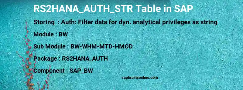 SAP RS2HANA_AUTH_STR table