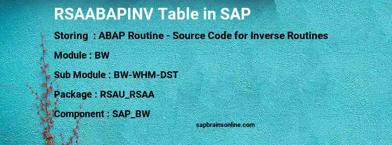 SAP RSAABAPINV table