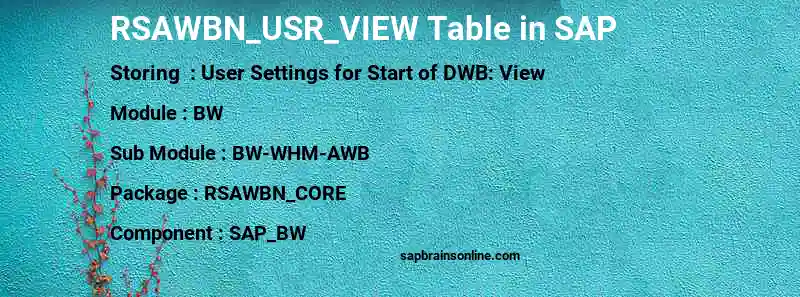 SAP RSAWBN_USR_VIEW table