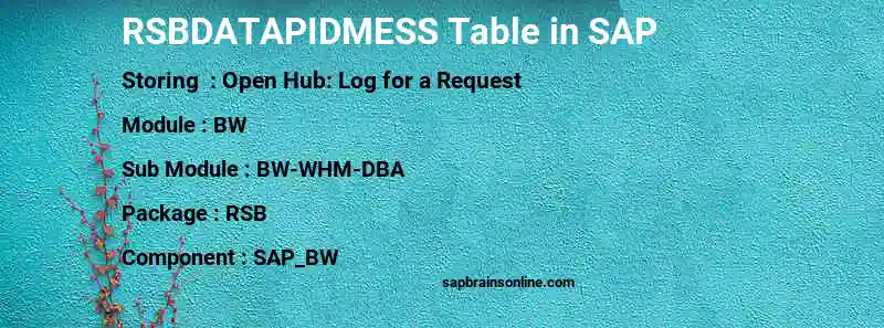 SAP RSBDATAPIDMESS table