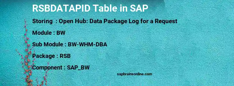 SAP RSBDATAPID table