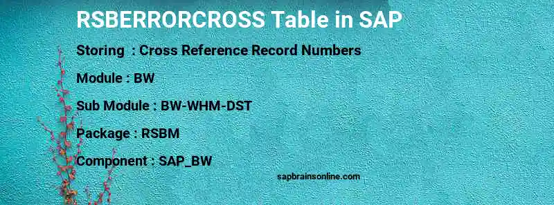 SAP RSBERRORCROSS table