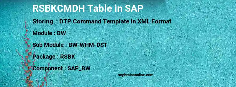 SAP RSBKCMDH table