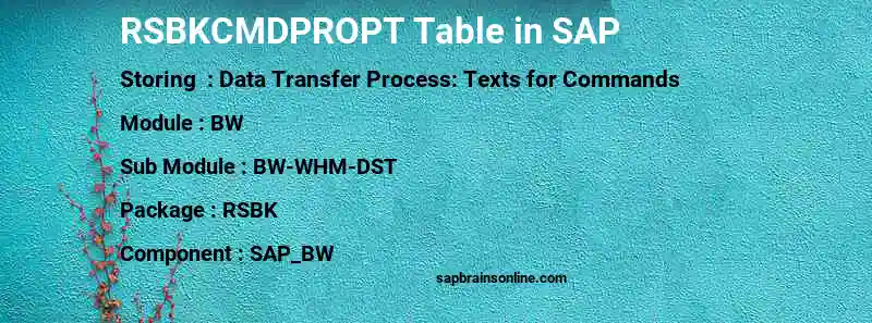 SAP RSBKCMDPROPT table