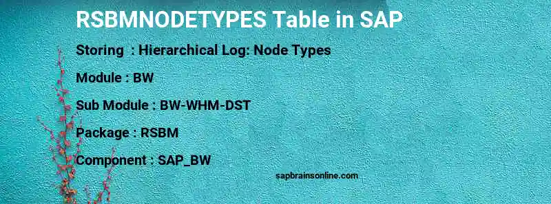 SAP RSBMNODETYPES table