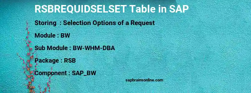 SAP RSBREQUIDSELSET table
