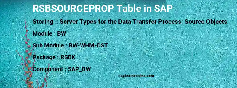 SAP RSBSOURCEPROP table