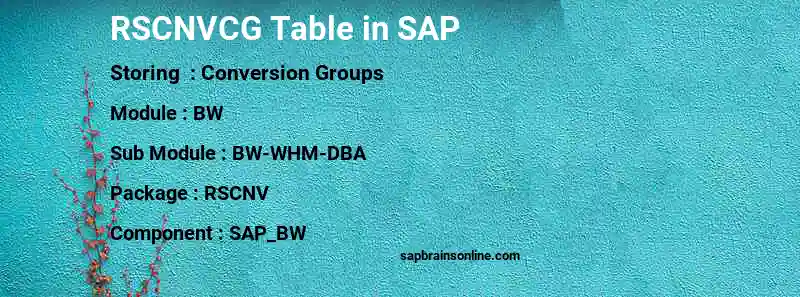 SAP RSCNVCG table