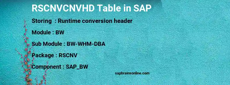 SAP RSCNVCNVHD table
