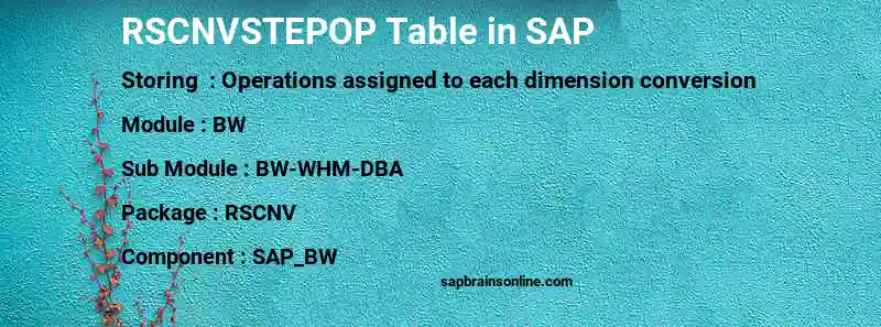 SAP RSCNVSTEPOP table