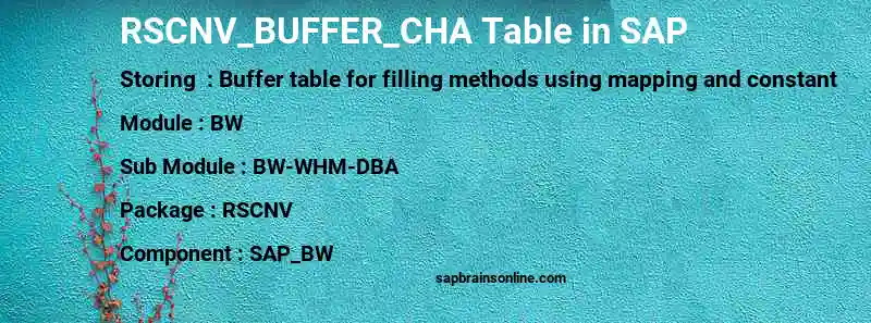 SAP RSCNV_BUFFER_CHA table
