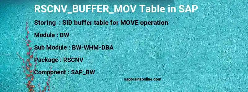 SAP RSCNV_BUFFER_MOV table