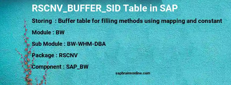 SAP RSCNV_BUFFER_SID table