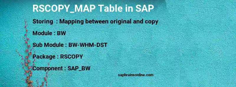 SAP RSCOPY_MAP table