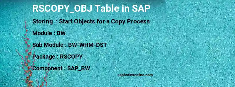 SAP RSCOPY_OBJ table