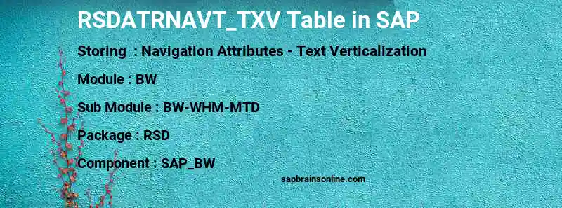 SAP RSDATRNAVT_TXV table