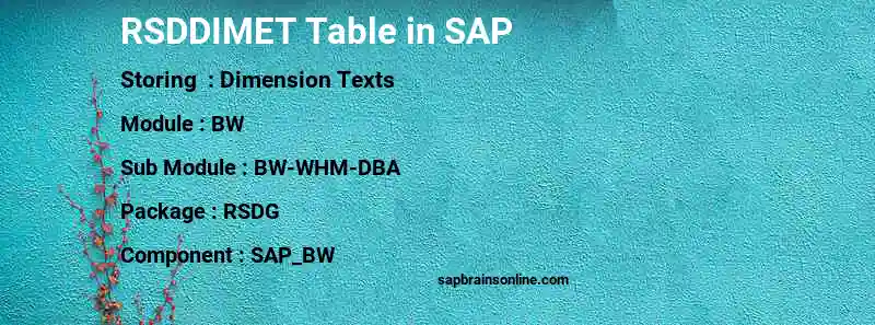 SAP RSDDIMET table