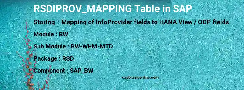 SAP RSDIPROV_MAPPING table