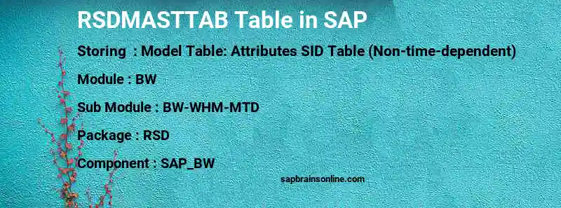 SAP RSDMASTTAB table