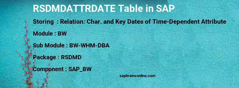SAP RSDMDATTRDATE table