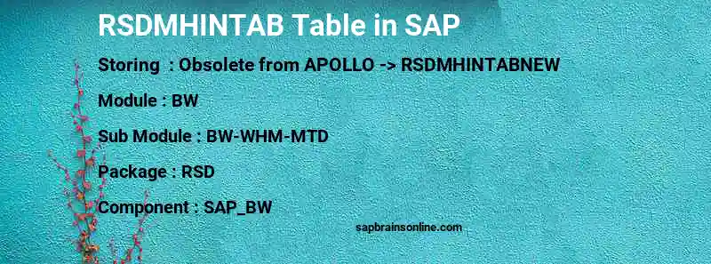SAP RSDMHINTAB table